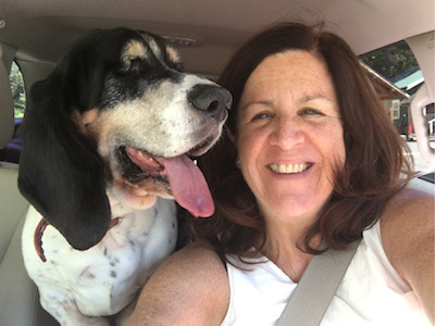 Fast Eddie (pun intended), a one-eyed Basset Hound, will be 13 in May! (Claire Holmes, Sr. Vice President, External Relations & Communications)